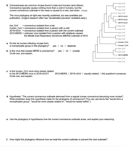 bat Cov -bat_COV 6. Coronaviruses are common viruses found in bats and humans (and others). Coronavirus typically causes noth