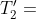 T_2'=