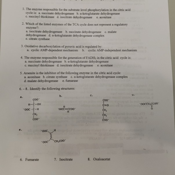 1. The enzyme responsible for the substrate level phosphorylation in the citric acid cycle is: a succinate dehydrogenase b. a