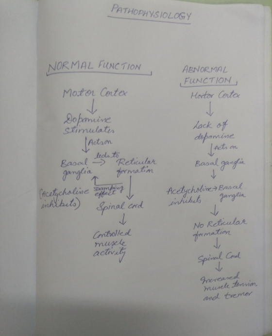 PATHOPHYSIOLOGY OR MAL FUNCTION Moton Conte 20 ABNORMAL 1 FUNCTION : Hortor Cnte lack depamine stimulati Actam Acts on .leda太 ermatin ficetychaliwe Fargein No Reticular Spinal and 卞. n mation muak actv Crel anol tremar
