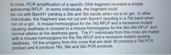 In mice, PCR amplification of a specific DNA fragment revealed a simple autosomal RFLP. In some individuals, the fragment cou