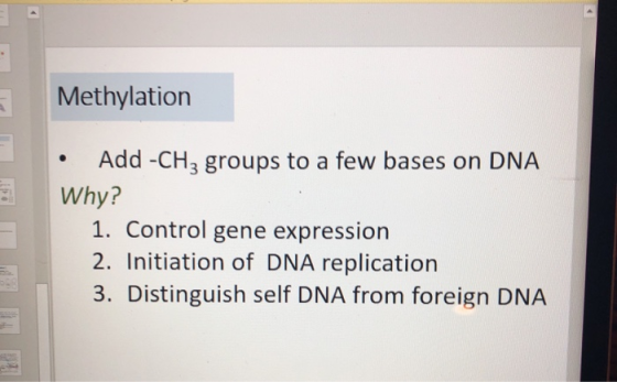 Methylation • Add-CH3 groups to a few bases on DNA Why? 1. Control gene expression 2. Initiation of DNA replication 3. Distin