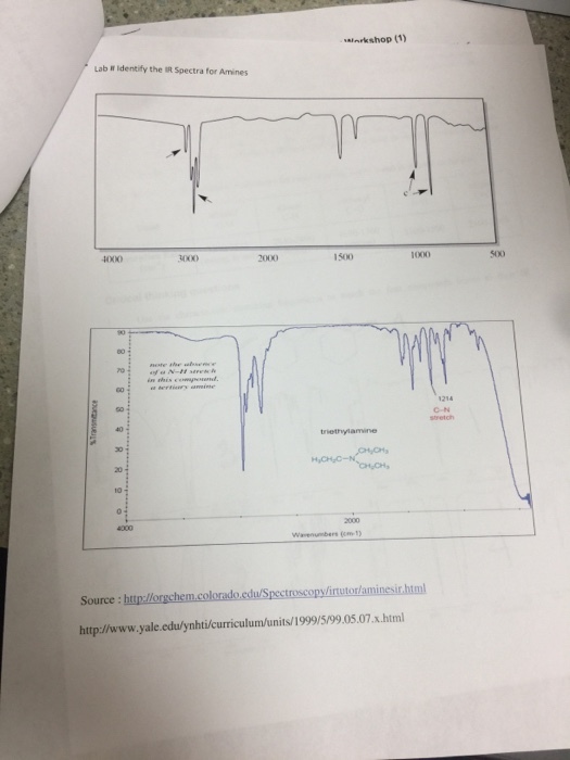 arkshop (1) Lab # Identify the IR Spectra for Amines 4000) 2000 1500 1000 500 1214 triethylamine 0404 Waenumbers (om 1) Source: htp://orgchem.colorado.cdu/Spectroscopy/irtutor/aminesir.html http://www.yale.edulynhifcurriculum/units/1999/5/99.05.07.x.html