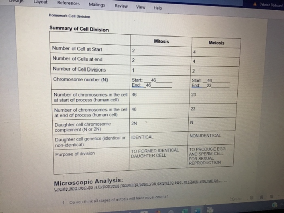Layout References Mailings Review Debrice Bedward View Help Homework Cell Division Summary of Cell Division Mitosis Meiosis 4