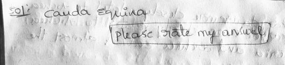 solo cauda equina DIE di po please rate my answer > UN