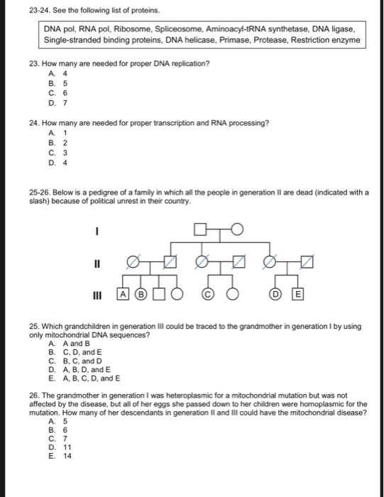 23-24. See the following list of proteins. DNA pol, RNA pol, Ribosome, Spliceosome, Aminoacyl-tRNA synthetase, DNA ligase Sin