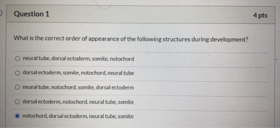 Question 1 4 pts What is the correct order of appearance of the following structures during development? neural tube, dorsal