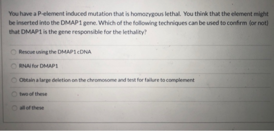 You have a P-element induced mutation that is homozygous lethal. You think that the element might be inserted into the DMAP1