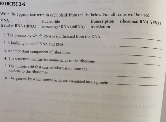 EXERCISE 3-9 Write the appropriate term in each blank from the list below. Not all terms will be used. DNA nucleotide messenger RNA (mRNA) transcription ribosomal RNA (RNA) translation transfer RNA (tRNA) 1. The process by which RNA is synthesized from the DNA 2. A building block of DNA and RNA 3. An important component of ribosomes 4. The structure that carries amino acids to the ribosome 5. The nucleic acid that carries information from the nucleus to the ribosomes 6. The process by which amino acids are assembled into a protein