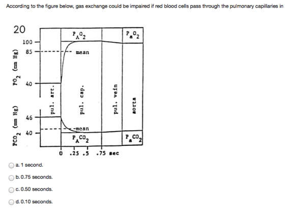 According to the figure below, gas exchange could