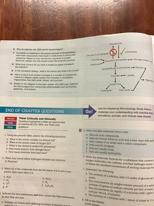 Free glucose Gucose-6-phosphatase Fructo s e-6-phosphate Glycogen c o Galactose 6. Why do patients with GSD exhibit hepatomeg