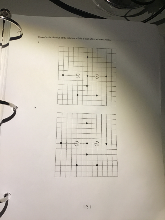Determine the direction of the net electric field at each of the indicated points. G . 1 31