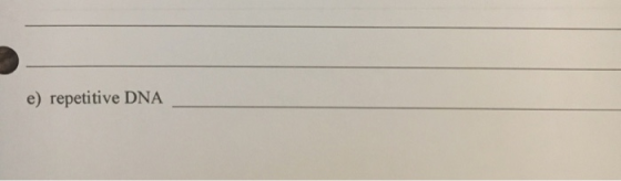 e) repetitive DNA