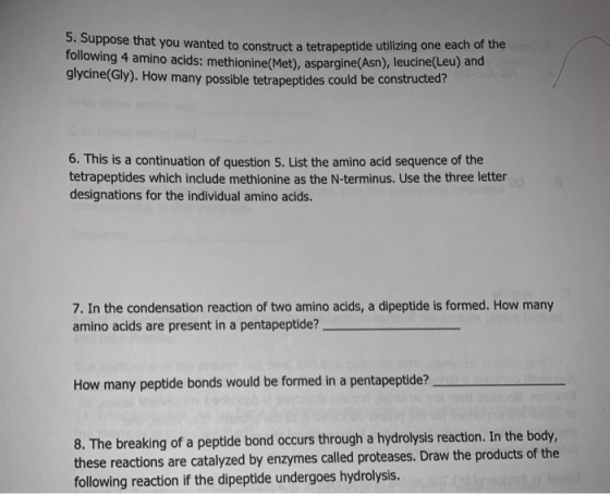 5. Sup following 4 amino acids: methionine(Met), aspargine(Asn), leucine glycine(Gly). How many possible tetrapeptides could