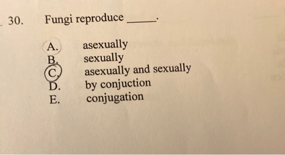 30. Fungi reproduce asexually sexually asexually and sexually by conjuction conjugation
