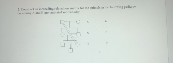2. Construct an inbreeding/relatedness matrix for the animals in the following pedigree (assuming A and B are unrelated indiv