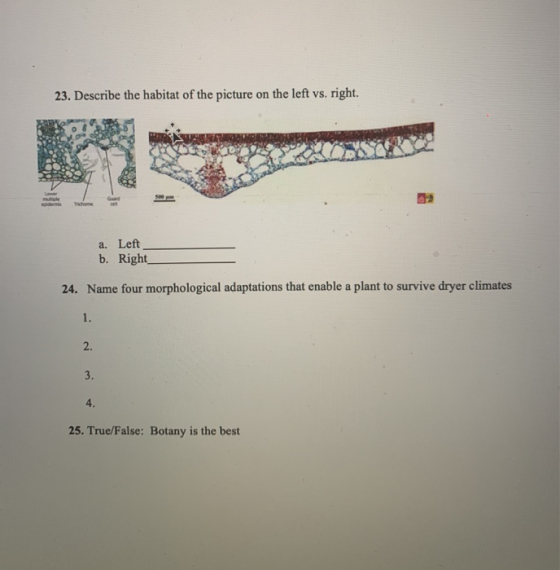 23. Describe the habitat of the picture on the left vs. right. a. Left b. Right 24. Name four morphological adaptations that