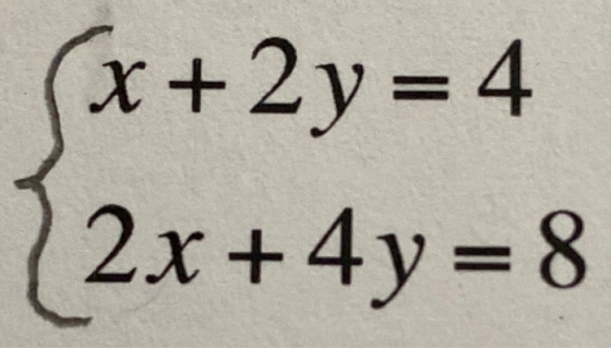 x + 2y = 4 2x + 4y = 8