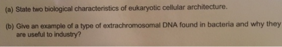 (a) State two biological characteristics of eukaryotic cellular architecture. (b) Give an example of a type of extrachromosomal DNA found in bacteria and why they are useful to industry?