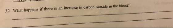 32. What happens if there is an increase in carbon dioxide in the blood?