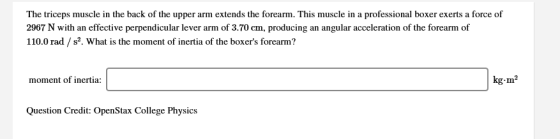 The triceps muscle in the back of the upper arm extends the forearm. This muscle in a professional boxer exerts a force of 29