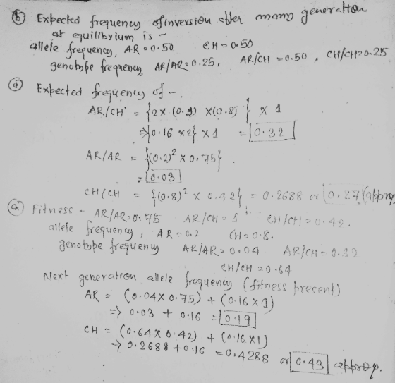 Expected frequency of inversion after many generale at quilibyium is - allele frequency, AR 20.50 CH= 0.50 : genotype frequen