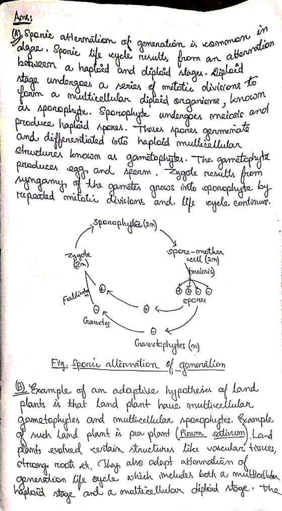 mmon in an abermalion des meiasis and Sporic alternation of generation is commor agae, Sporic life cycle results from an alte