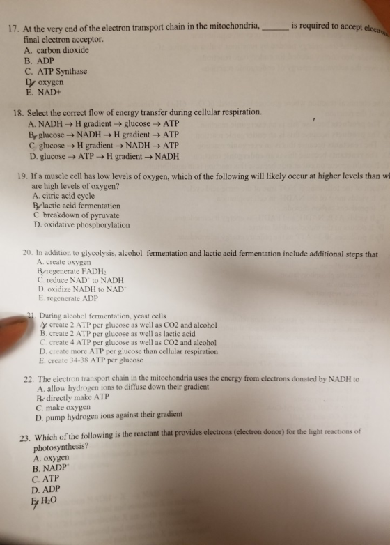 is required to accept electron 17. At the very end of the electron transport chain in the mitochondria, final electron accept