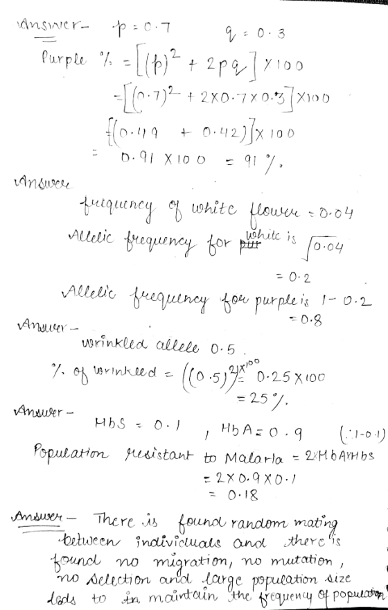 WALL - ansiner- p=0.7 q = 0.3 Purple % = [(p)² + 2pq] x 100 -L1.7)2 + 2X0.740.3]100 10.119 + 0.427]x 100 30.91 X100 = 91%. An