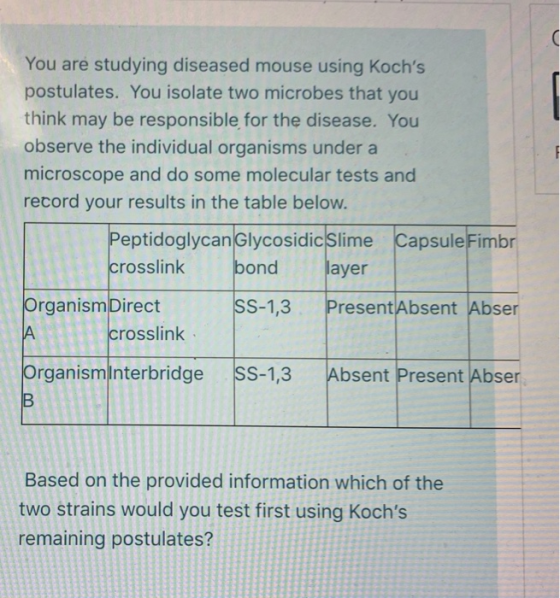You are studying diseased mouse using Kochs postulates. You isolate two microbes that you think may be responsible for the d