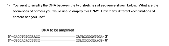 1) You want to amplify the DNA between the two stretches of sequence shown below. What are the sequences of primers you would