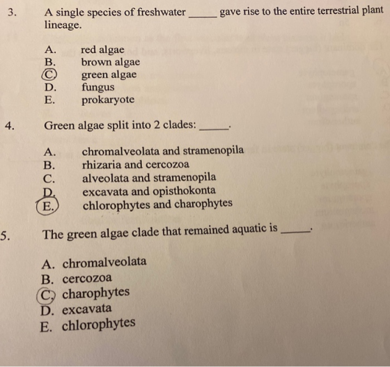 3. A single species of freshwater lineage. gave rise to the entire terrestrial plant A B. red algae brown algae green algae f