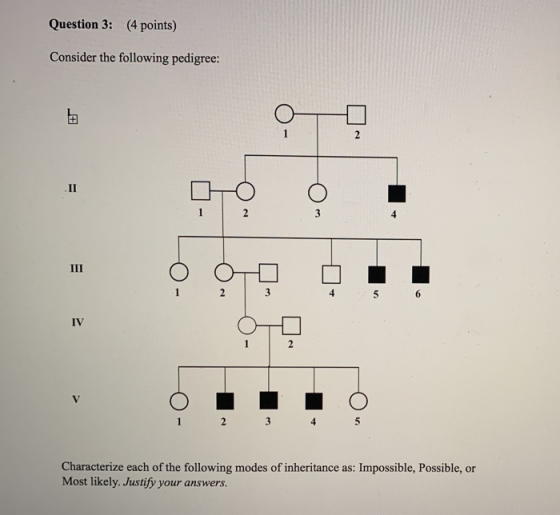 Question 3: (4 points) Consider the following pedigree: 2 3 Characterize each of the following modes of inheritance as: Impos