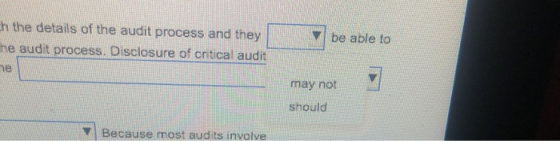 h the details of the audit process and they be able to he audit process. Disclosure of critical audit he may not should Becau