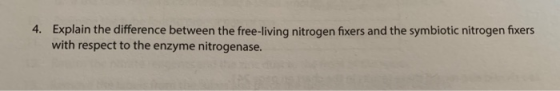 4. Explain the difference between the free-living nitrogen fixers and the symbiotic nitrogen fixers with respect to the enzym