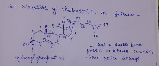 The structure of cholestrol is follows - 21 22 VIJAK 24 1) 12 27 1 17 23 23 2 9 10 8 14 26 3 5 15 Hol 4 6 - There a double bo