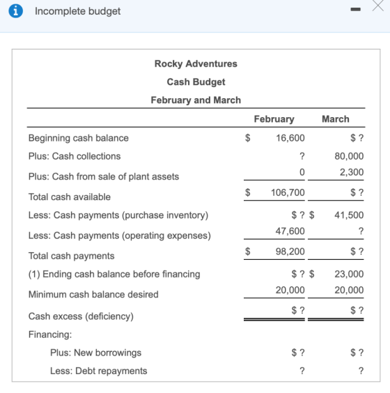 0 Incomplete budget Rocky Adventures Cash Budget February and March February March $ 16,600 $ ? Beginning cash balance Plus: