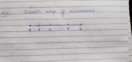 au, Genetic map of chromosome ce a