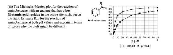 N- 0.9 0.8 0.7 (iii) The Michaelis-Menten plot for the reaction of aminobenzene with an enzyme that has a key Glutamic acid r