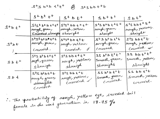 sts btbtttt 0 stsbb ttt I stbt tt ist btt S+b++ stbt ca Sts +6+b++++lsts+bbt++ rough, green, vrough, yellow, Crooked straight