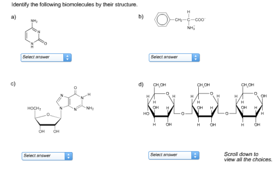 ldentify the following biomolecules by their structure 0 Select answer Select answer d) CHOH OH HOCH2 OH OH H OH H H OH H OH OH OH Scroll down to view all the choices. Select answer Select answer