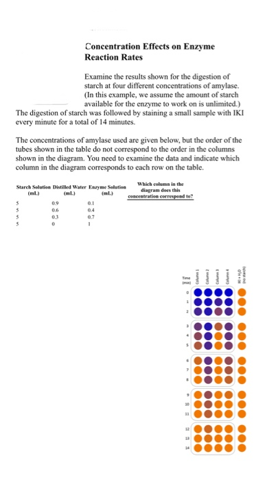 Concentration Effects on Enzyme Reaction Rates Examine the results shown for the digestion of starch at four different concen