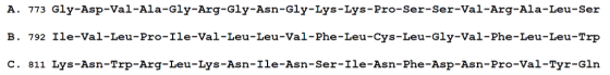 Gly-Asp-Val-Ala-Gly-Arg-Gly-Asn-Gly-Lys-Lys-Pro-Ser-Ser-Val-Arg-Ala-Leu-Ser Ile-Val-Leu-Pro-Ile-Val-Leu-Leu-Val-Phe-Leu-Cys-Leu-Gly-Val-Phe-Leu-Leu-Trp Lys-Asn-Trp-Arg-Leu-Lys-Asn-Ile-Asn-ser-Ile-Asn-Phe-Asp-Asn-Pro-Val-Tyr-Gln A. 773 B. 792 C. 811