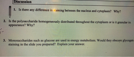 Discussion 1. Is there any difference in staining between the nucleus and cytoplasm? Why? 2. Is the polysaccharide homogeneou