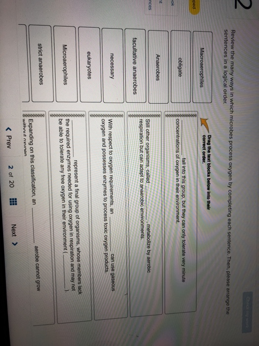 2 Review the many ways in which microbes process oxygen by completing each sentence. Then, please arrange the sentences in a