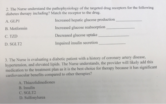 2. The Nurse understand the pathophysiology of the targeted drug receptors for the following diabetes therapy including? Matc