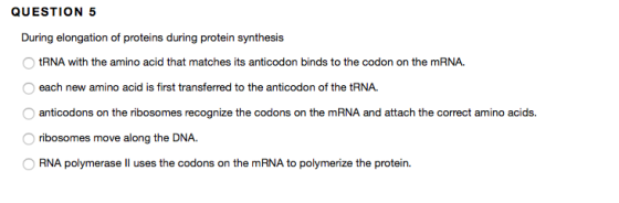 During elongation of proteins during protein synth