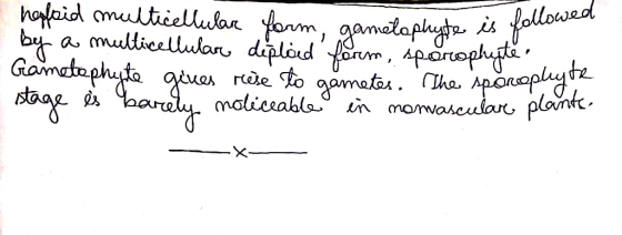 followed elophyte is hafoid multicellular form, gametaphyte es pe by a multicellulare diploid form, sporophyte. Gametophyte g