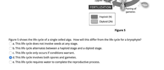FERTILIZATION Pairing of gametes Haploid (N) Diploid (2) Figure 5 Figure 5 shows the life cycle of a single celled alga. How
