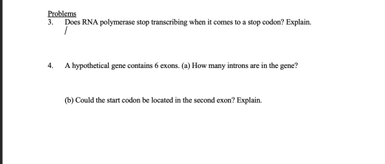 Problems 3. Does RNA polymerase stop transcribing when it comes to a stop codon? Explain. and gove RNA polymerase 4. A hypoth